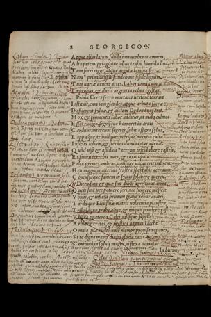 Pagina 