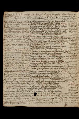 Pagina 