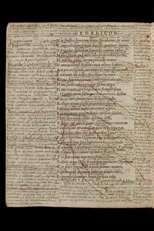 Pagina 