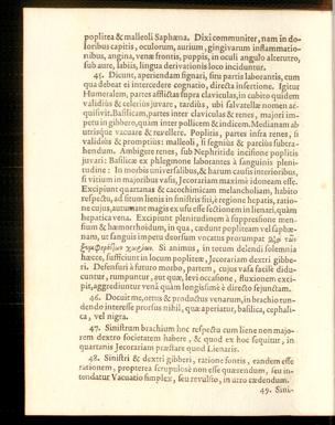 Pagina 