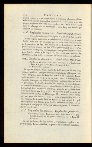 Seite 