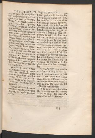 Seite 