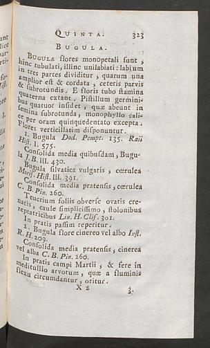 Seite 