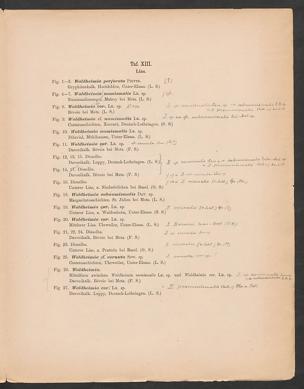 Seite 