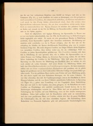 Seite 