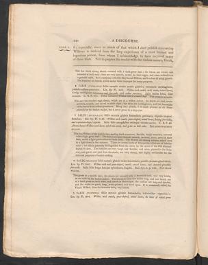 Seite 