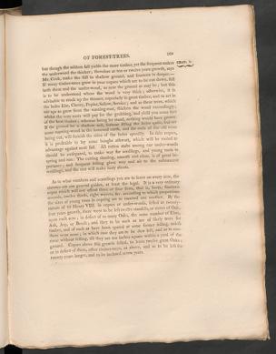 Seite 