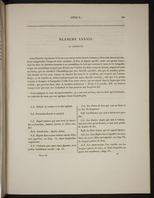 Seite 