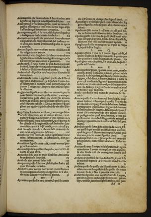 Pagina 