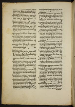 Pagina 