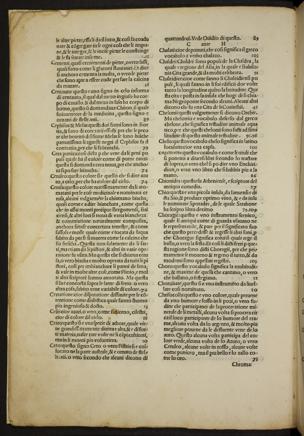 Pagina 