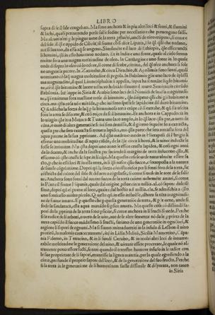 Seite 