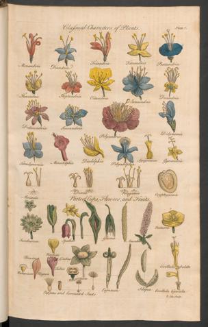 Pagina 