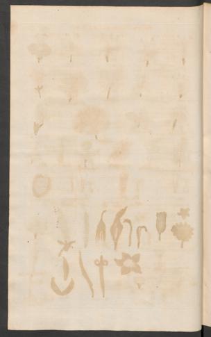 Pagina 