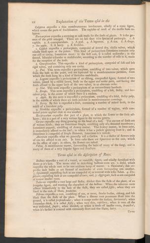 Pagina 