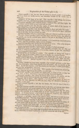 Pagina 