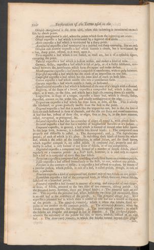 Pagina 