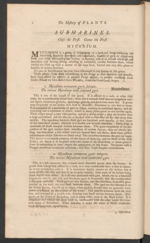 Pagina 