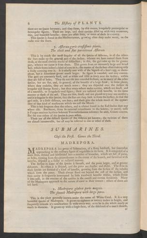 Pagina 