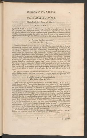 Pagina 