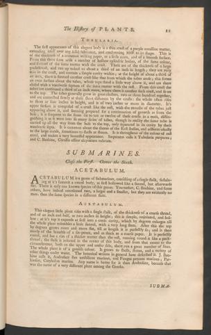 Pagina 