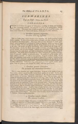 Pagina 