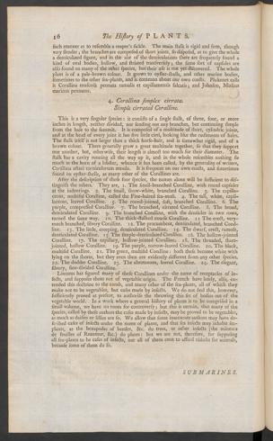 Pagina 