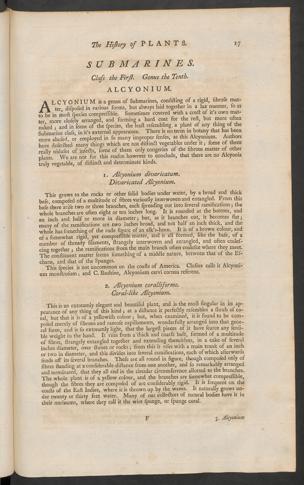 Pagina 