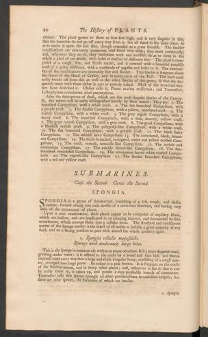 Pagina 