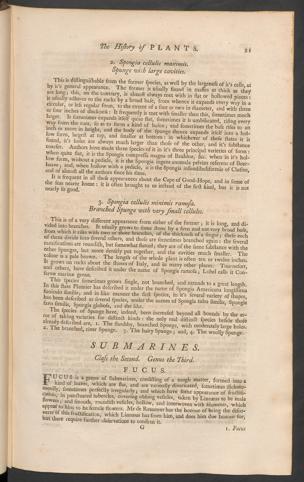 Pagina 