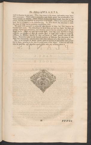 Pagina 