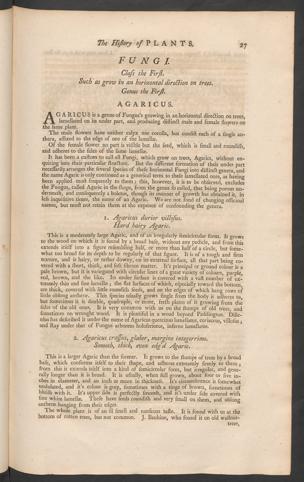Pagina 