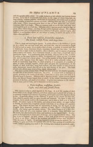 Pagina 