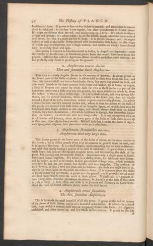 Pagina 