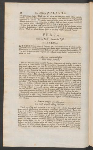 Pagina 