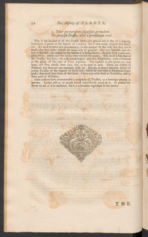 Pagina 