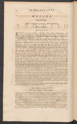 Pagina 