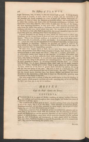 Pagina 