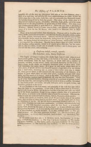 Pagina 