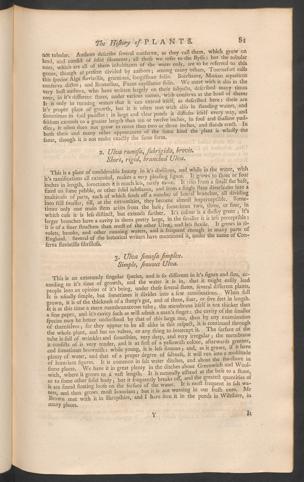 Pagina 