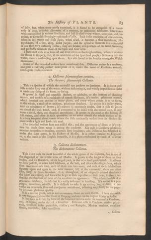 Pagina 