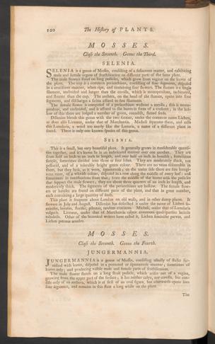 Seite 