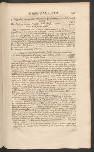 Pagina 