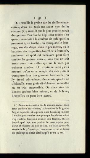 Seite 