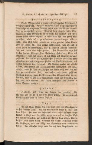 Seite 