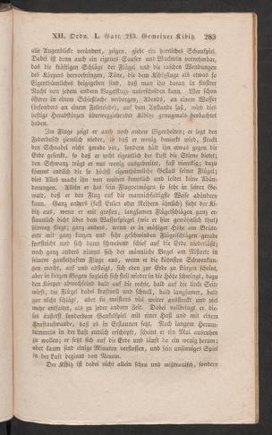 Seite 