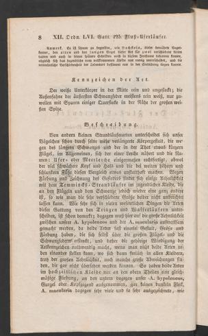 Seite 