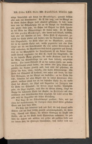 Seite 