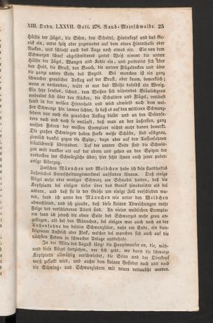 Seite 
