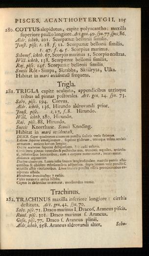 Seite 